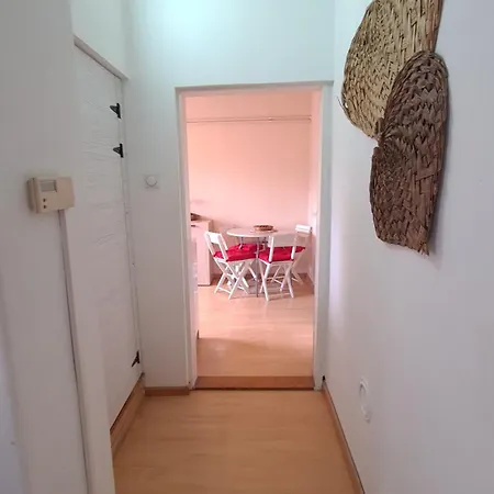 Apartment Vojvoda *